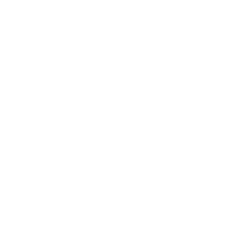Multiservice Group